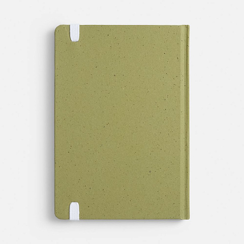 Блокнот Lactonica, зеленый - рис 5.