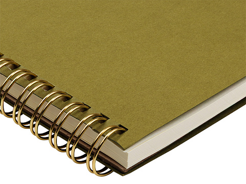 Бизнес тетрадь на гребне А5 Pragmatic, 60 листов в клетку, зеленый хаки - рис 3.