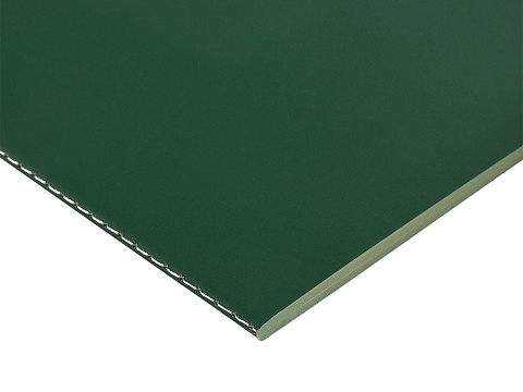 Бизнес-тетрадь А5 Pragmatic Contrast, 40 листов в клетку, темно-зеленый с салатовым срезом - рис 2.