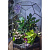 Сад в стекле “Эйфория” - миниатюра - рис 8.