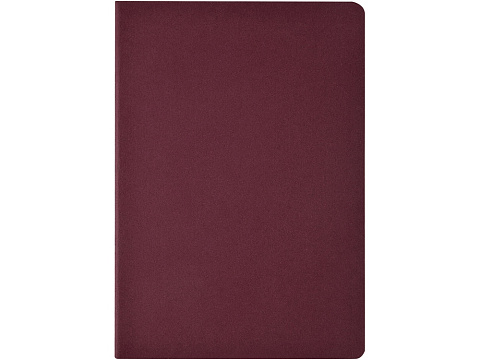 Бизнес-тетрадь А4 Pragmatic,  40л., клетка, бордовый - рис 2.