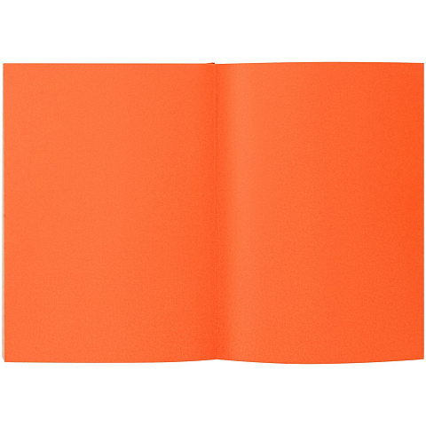 Ежедневник Flat Maxi, недатированный, оранжевый - рис 4.