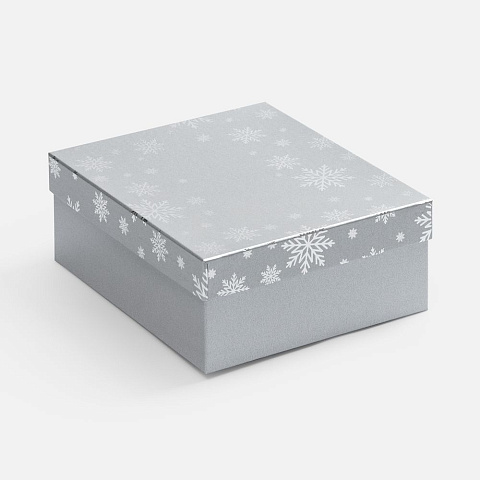 Коробка Wintry, серебристая - рис 2.