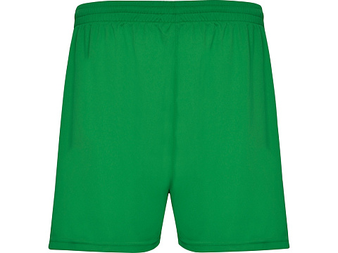 Спортивные шорты Calcio детские, папоротниковый