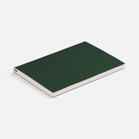 Ежедневник Flat Light ver.2, недатированный, зеленый - рис 4.