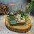 Сад в стекле Умиротворение - миниатюра - рис 2.