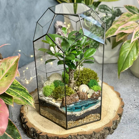 Сад в стекле Тропический Рай - рис 3.