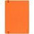 Ежедневник Must, датированный, оранжевый - миниатюра - рис 5.