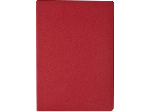 Бизнес-тетрадь А4 Pragmatic,  40л., клетка, красный - рис 2.