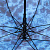 Зонт трость Abstraction - миниатюра - рис 5.
