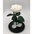 Белая роза в колбе (средняя) - миниатюра - рис 2.