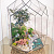 Сад в стекле “Весенняя фантазия” - миниатюра - рис 4.