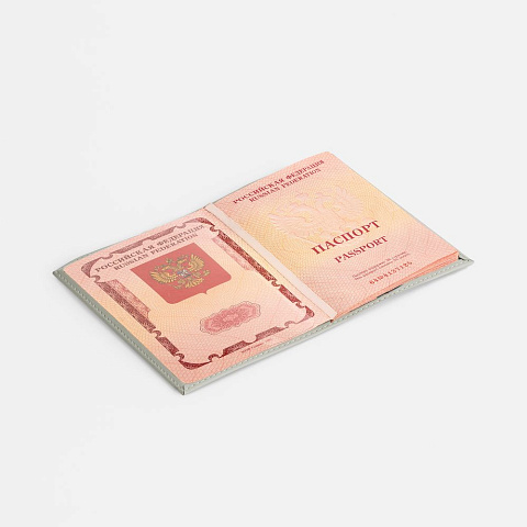 Обложка для паспорта Shall, ver. 2, серая - рис 5.