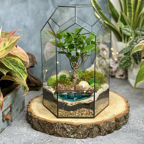 Сад в стекле Тропический Рай