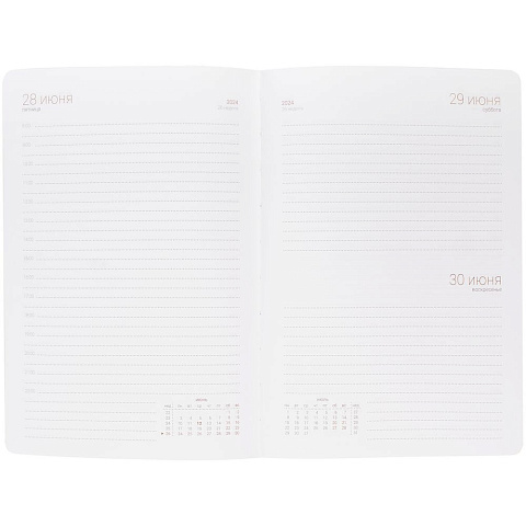 Ежедневник Basis, датированный, оранжевый - рис 6.