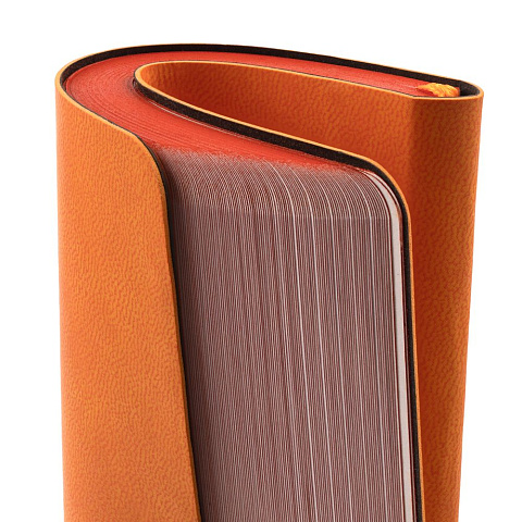 Ежедневник Neat Mini, недатированный, оранжевый - рис 6.