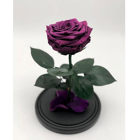 Фиолетовая роза в колбе (средняя) - рис 2.