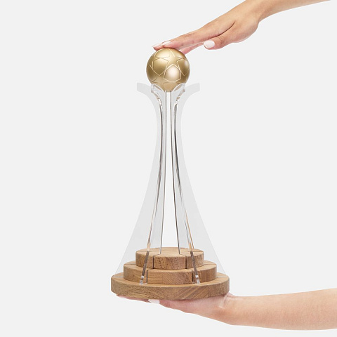 Кубок Everball c 3D-элементами - рис 3.