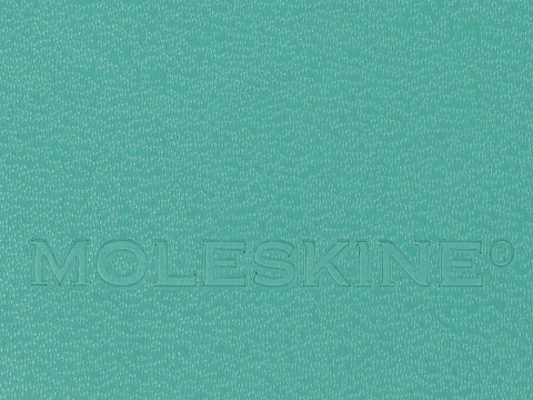 Записная книжка Moleskine Classic (в линейку) в твердой обложке, Large (13х21см), морская волна - рис 7.