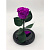 Фиолетовая роза в колбе из стекла - миниатюра - рис 2.