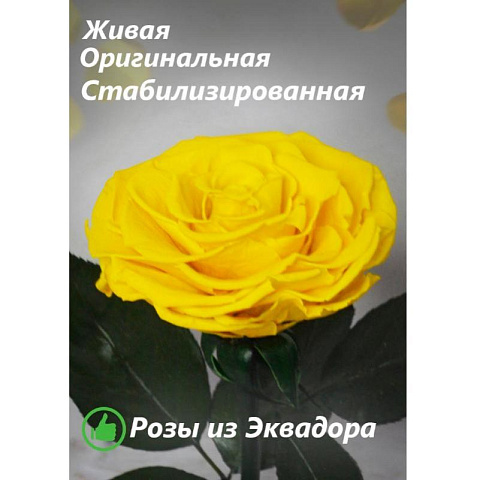 Жёлтая роза в колбе (большая) - рис 3.
