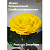 Жёлтая роза в колбе (большая) - миниатюра - рис 3.