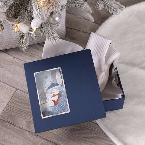 Коробка The Blue Bear, S - рис 3.