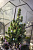 Новогодний флорариум Ёлка - миниатюра - рис 7.