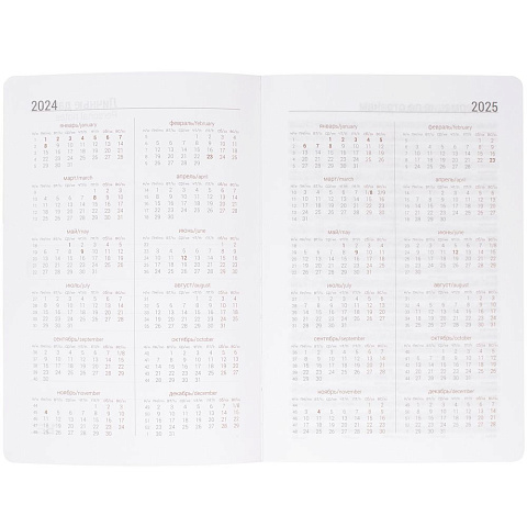 Ежедневник Basis, датированный, синий - рис 6.