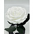 Белая роза в колбе (большая) - миниатюра - рис 2.