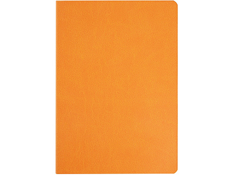 Ежедневник недатированный А5 Megapolis Color Flex, оранжевый - рис 4.