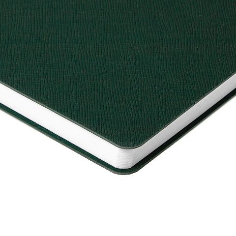 Ежедневник Flexpen Bright, недатированный, зеленый - рис 6.