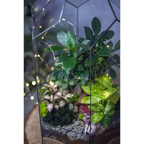 Сад в стекле “Эйфория” - рис 7.
