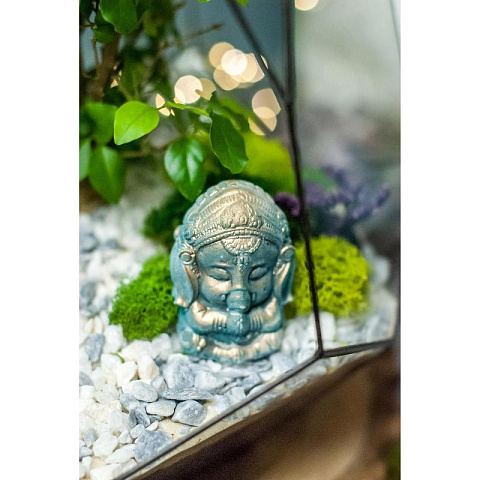 Сад в стекле Гармония природы - рис 4.