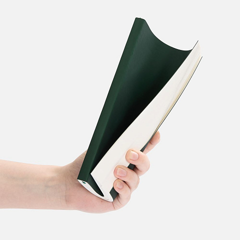 Ежедневник Flat Light ver.2, недатированный, зеленый - рис 5.