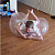 Мяч жвачка Wubble Bubble Ball 130 см - миниатюра - рис 13.