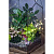 Сад в стекле “Эйфория” - миниатюра - рис 3.