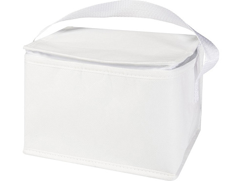Spectrum нетканая сумка-холодильник, 4 л, на 6 банок, из переработанных материалов, белый - рис 4.