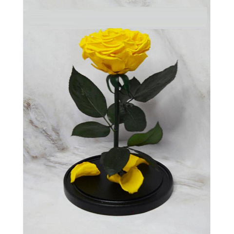 Жёлтая роза в колбе (большая) - рис 2.
