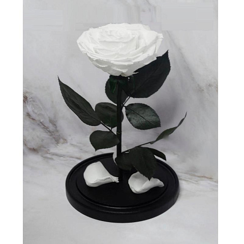 Белая роза в колбе (большая) - рис 3.