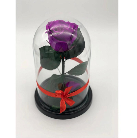 Фиолетовая роза в колбе из стекла