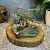 Сад в стекле Умиротворение - миниатюра