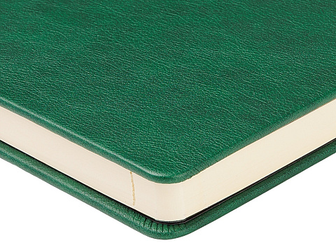 Ежедневник недатированный А5 Premier, зеленый - рис 5.